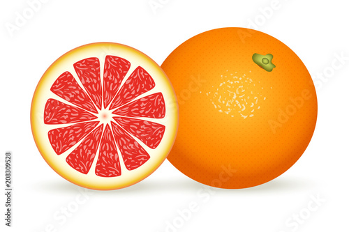 Fresh grapefruit in realistic style. Vector illustration isolated on white background.