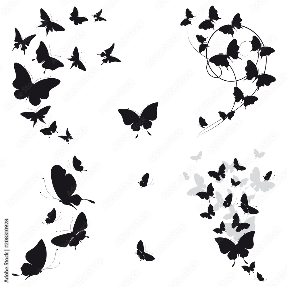 Fototapeta premium black butterfly, isolated on a white