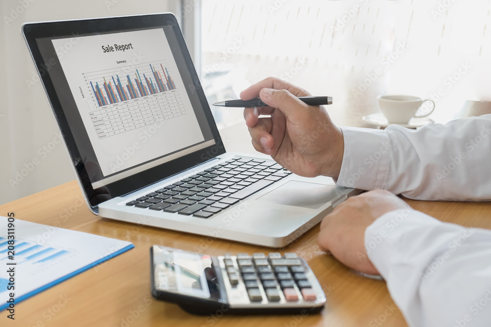 Business person analyzing financial statistics displayed on the laptop screen Business person analyzing financial statistics displayed on the laptop screen