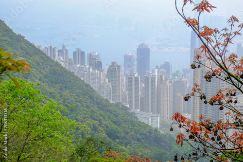 Looking down on Hong Kong Harbour from the Peak on a misty morning 1
