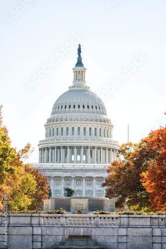 Vertical view of United States Congress Capitol building closeup framed by alley of golden orange yellow foliage autumn fall trees on street road during sunny day in Washington DC