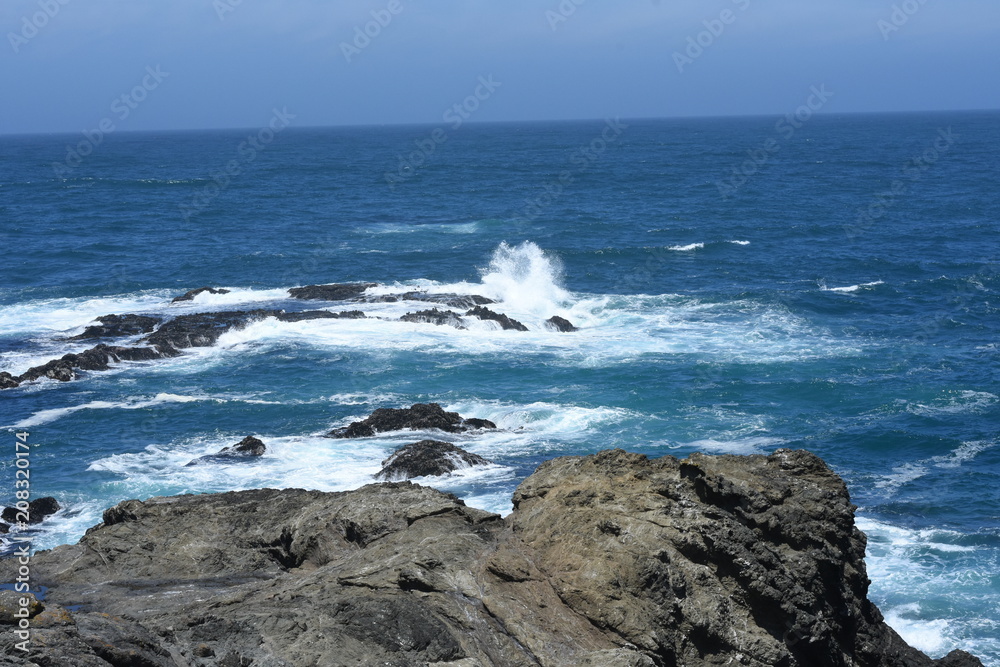 Fototapeta premium Northern California Mendocino county Pacific Coast