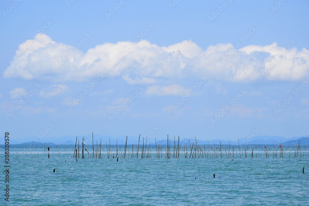 The view of the bright sky and the sea, the wood embroidered in the sea for use in raising the shell at south of Thailand