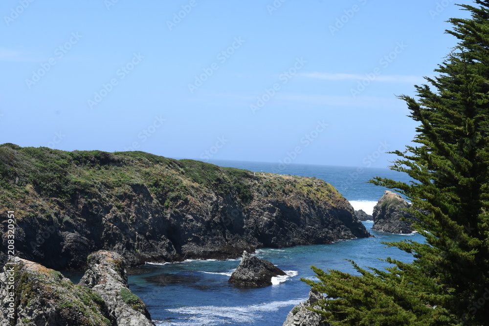 Fototapeta premium Northern California Mendocino county Pacific Coast
