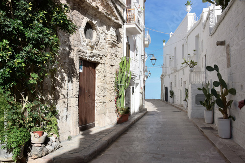 Obraz na plátně Mediterranean Town