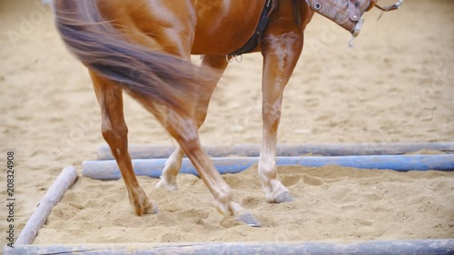 Horse legs turn inside the cavaletti square long shot slow 4K. Long shot of horse bottom part while doing a pattern inside a small square space. Western riding competition. photo