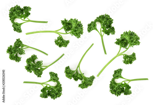 Top view of parsley isolated on white background