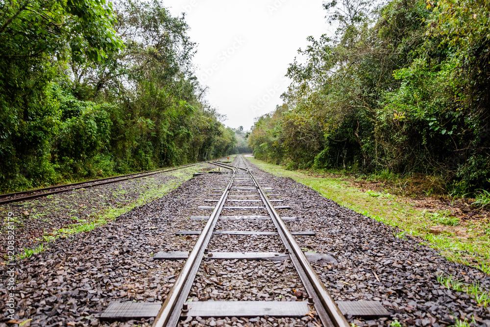 Fototapeta premium railroad tracks in the forest