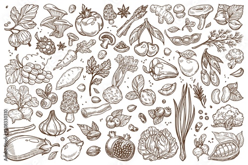 Fruit and vegetables monochrome sepia sketches big set