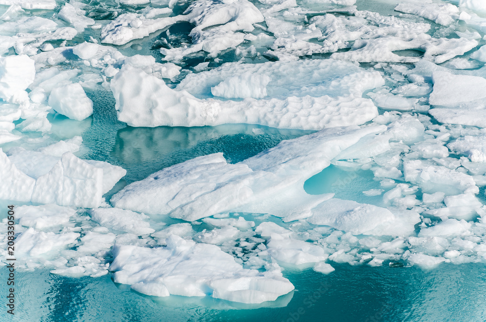 icebergs on the water