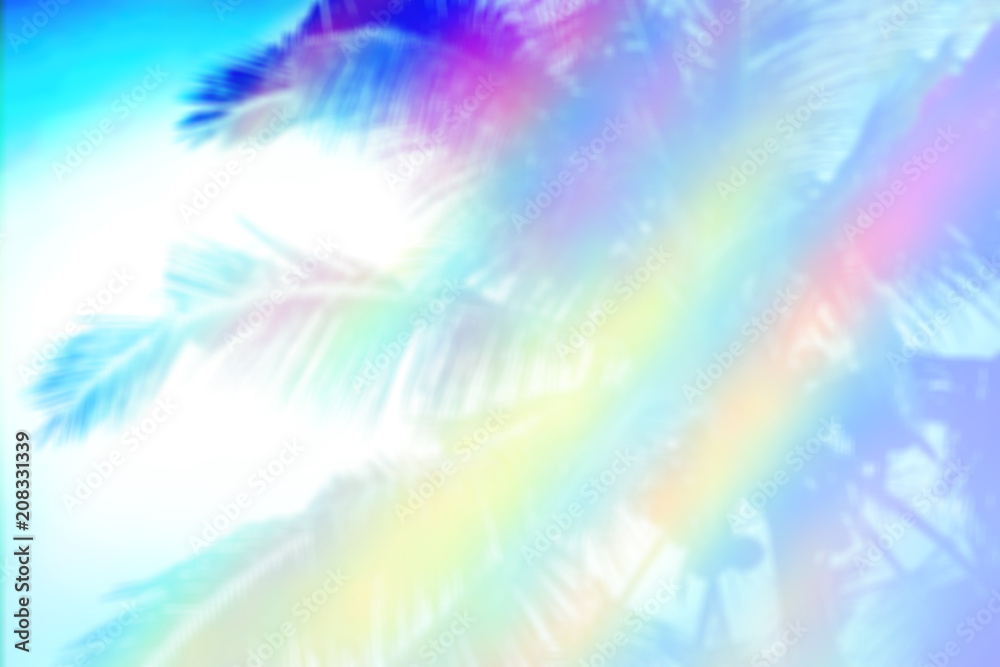 coconut tree with pastel color abstract summer nature background coconut tree with pastel color abstract summer nature background