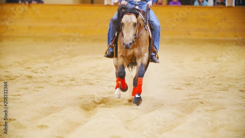 Horse sliding stop into the camera in slow motion 4K. Long shot tracking beautiful western quarter horse galloping towards the camera and sliding throwing sand all around the arena.