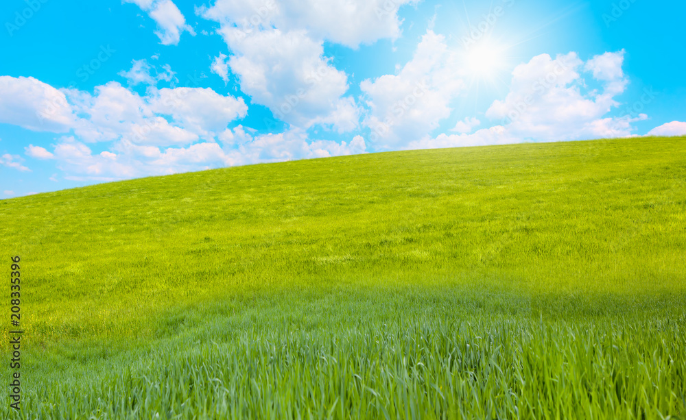 Obraz premium Green grass field with cloudy bright blue sky