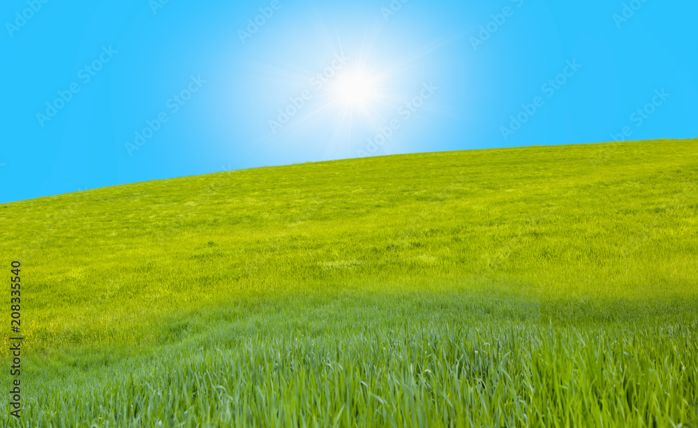 Green grass field with cloudy bright blue sky Green grass field with cloudy bright blue sky