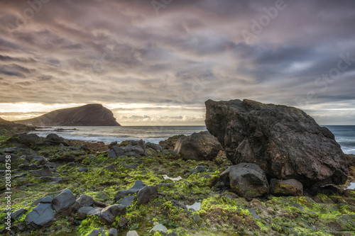 Roca