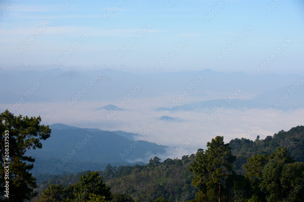 Fog above rainforest at Huai Nam Dang National Park in Chiang Mai, North of Thailand