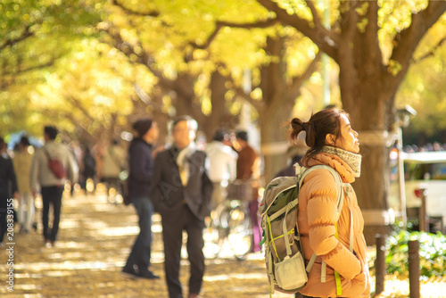  Autumn color at Jingu at Gaien Ginkgo Avenue a traveler girl sightseeing in there. photo