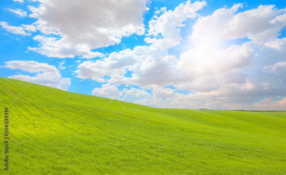 Green grass field and bright blue sky