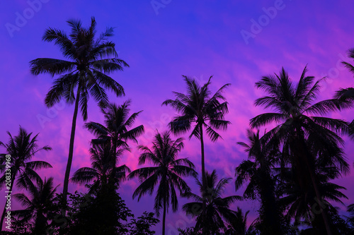beautiful Silhouette of coconut tree with twilight sky 