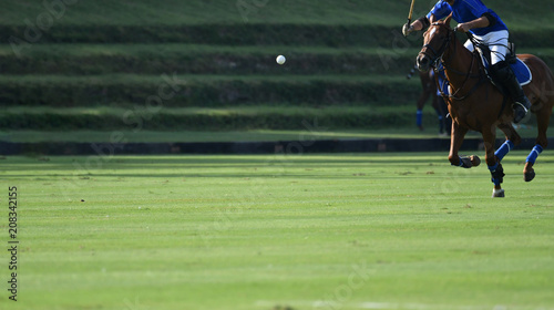 polo Ball is floating in the air during a polo match.