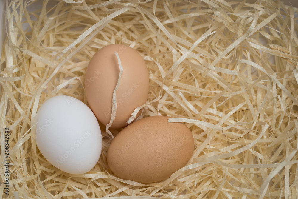 Three chicken eggs lie in a nest of straw, shot close-up Three chicken eggs lie in a nest of straw, shot close-up