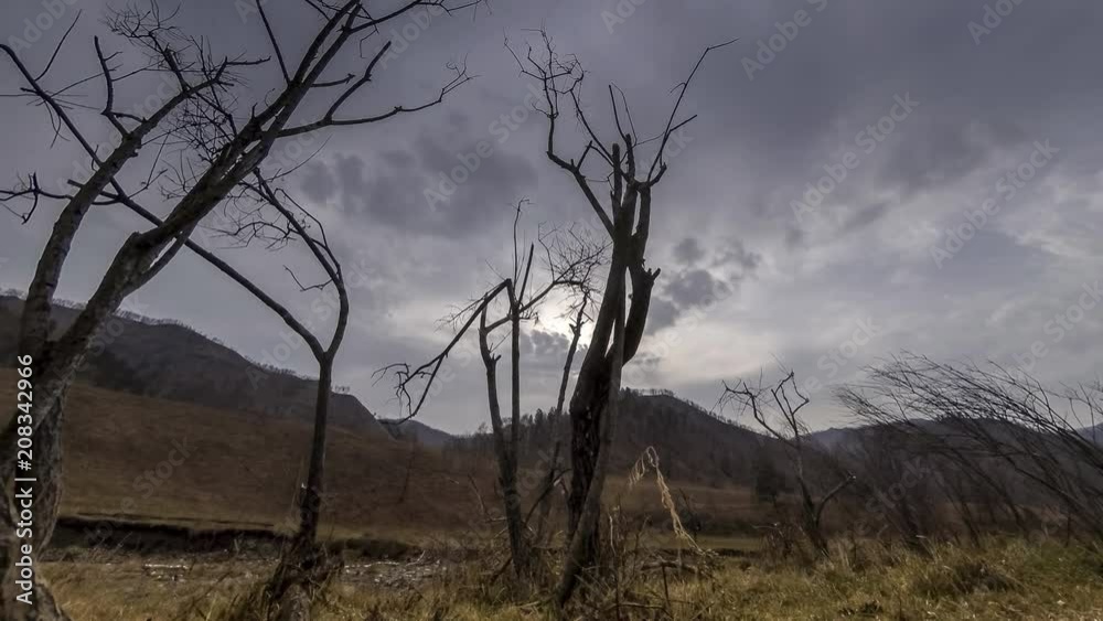 4K UHD time lapse of death tree and drought disaster, dry yellow grass and soil at mountian landscape with clouds and sun rays. Climate change, global warming and ecology problem concept. Horizontal 4K UHD time lapse of death tree and drought disaster, dry yellow grass and soil at mountian landscape with clouds and sun rays. Climate change, global warming and ecology problem concept. Horizontal