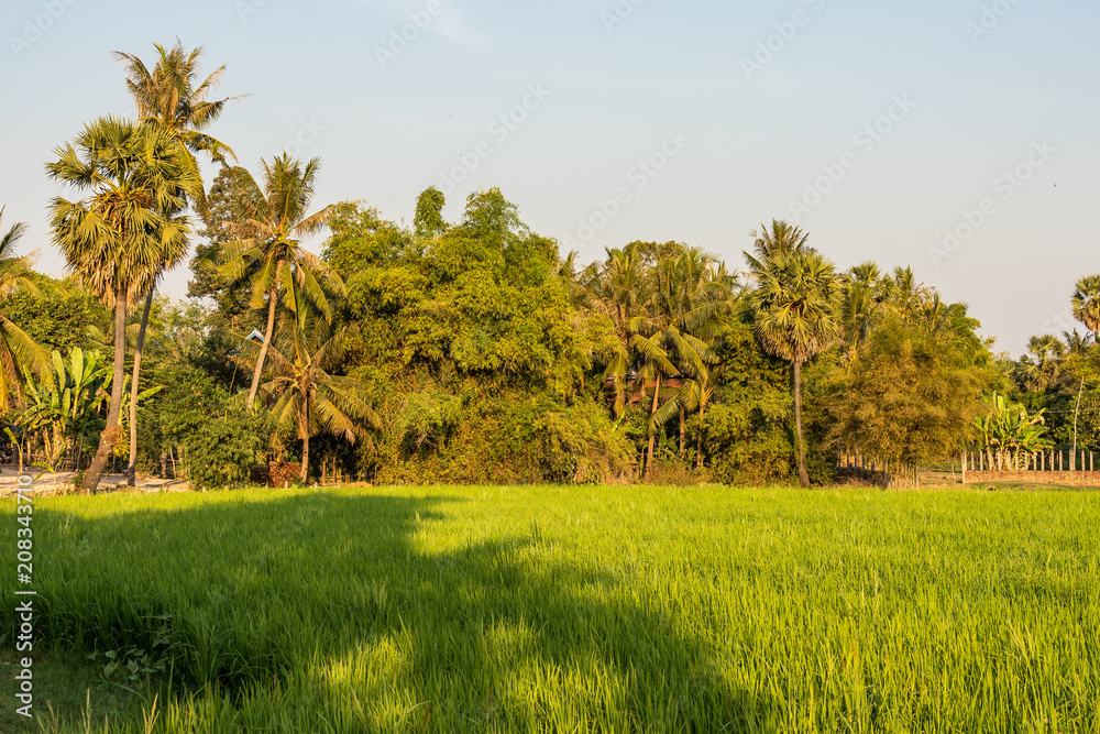 Fototapeta premium Kambodscha - Siem Reap - Landausflug nordöstlich von Siem Reap