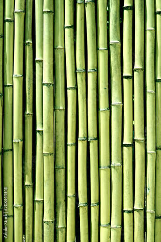 Fototapeta Naklejka Na Ścianę i Meble -  Green bamboo wood wall background texture vertical