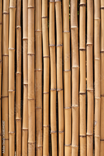 Bamboo wood wall background texture closeup vertical