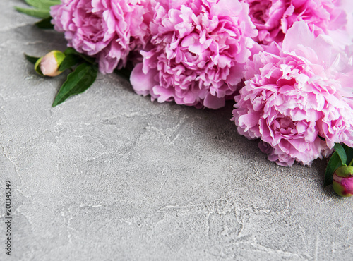Fototapeta Naklejka Na Ścianę i Meble -  beautiful pink  peony flowers
