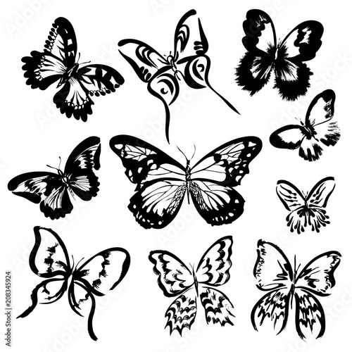 Set of 10 hand drawn butterflies. Vector silhouettes © Morena
