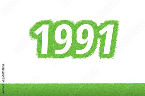 Jahr 1991 - weiße Zahl 1991 mit frischen gewachsenen grünen Grashalmen Symbol