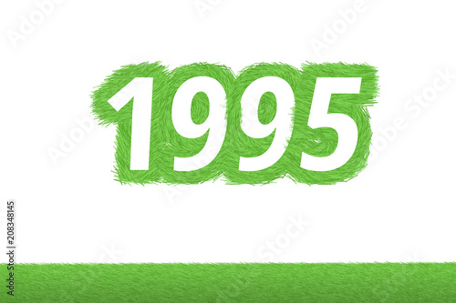 Jahr 1995 - weiße Zahl 1995 mit frischen gewachsenen grünen Grashalmen Symbol
