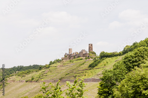 Alken  Burg  Thurant  Mosel  Weinberg  Fluss  Rheinland-Pfalz  Untermosel  Fr  hling  Deutschland