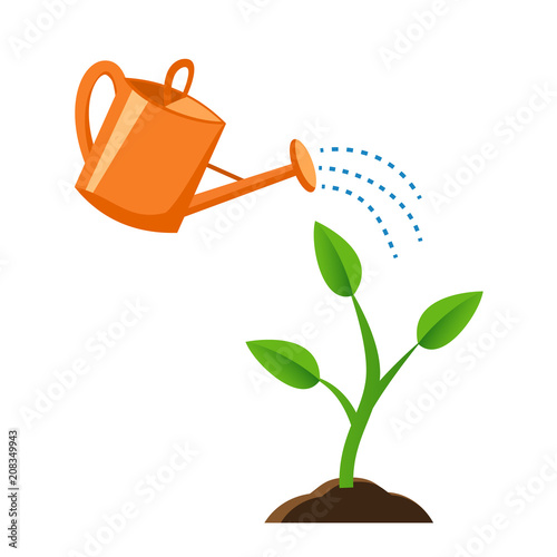 Illustration of watering the young plants from a watering can. a small plant growing in the ground Flat style.