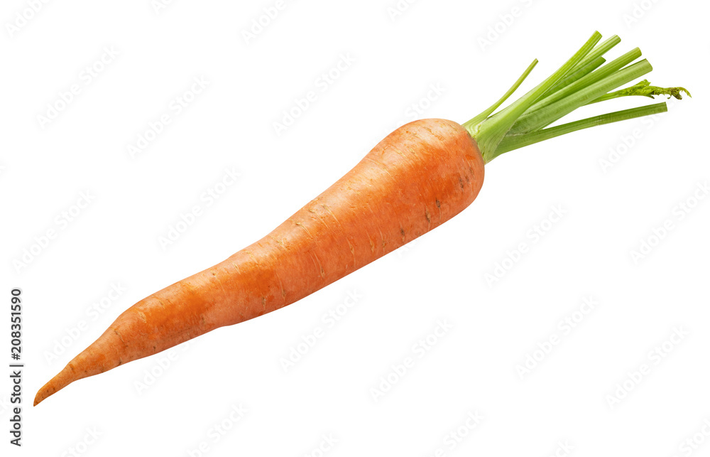 Fresh carrot isolated on white background. Clipping path - obrazy, fototapety, plakaty 