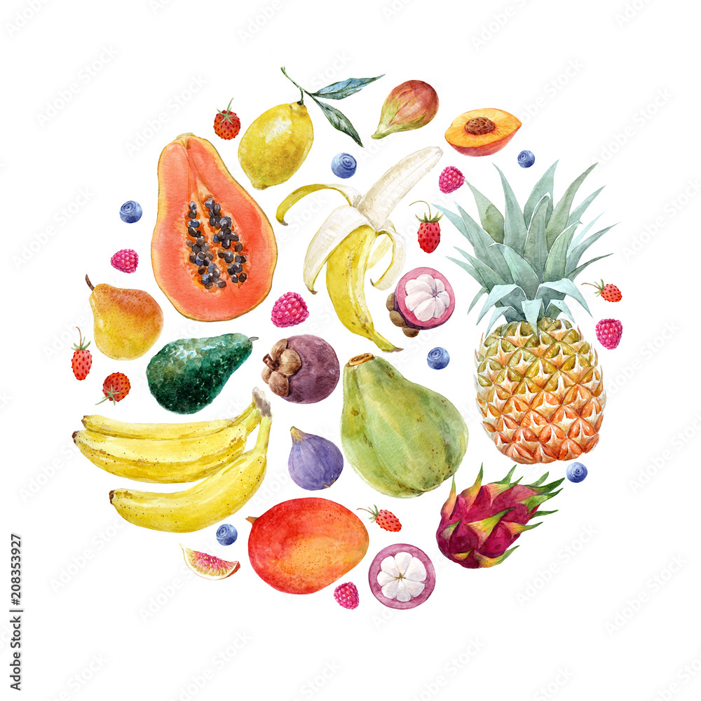 Naklejka Akwarela owoców egzotycznych kompozycji