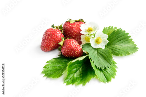 Wallpaper Mural Strawberry isolated on white background. Torontodigital.ca