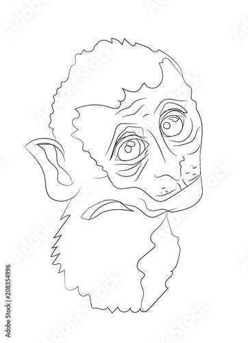 monkey portrait, lines, vector