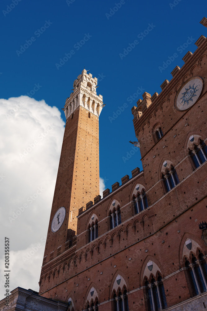 Torre del Mangia and town hall of the city of Siena, Tuscany, Italy