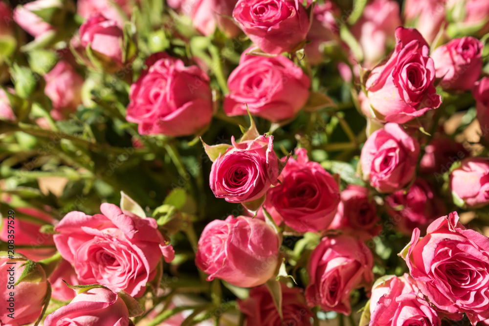 bouquet of pink roses with green leaves close-up bouquet of pink roses with green leaves close-up