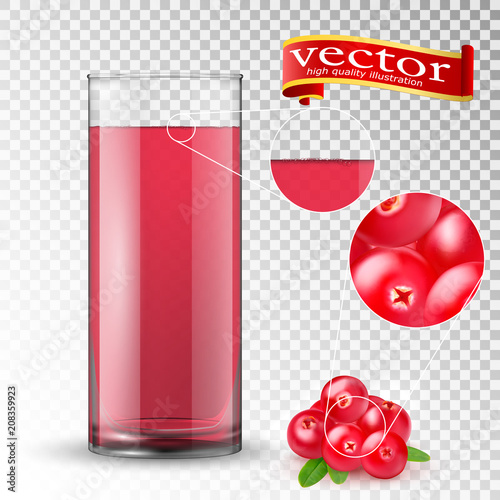 3d realistic vector high detail of juicy cranberries and juice in a glass cup