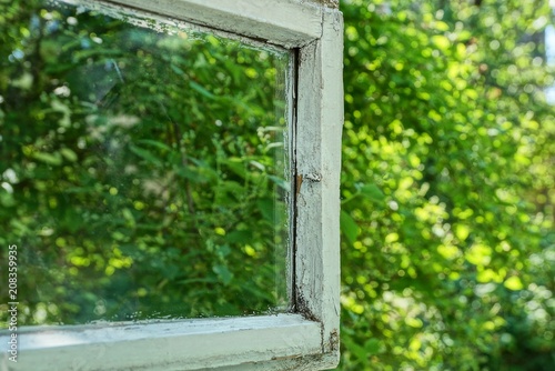 An open wooden window with glass and green leaves on the street © butus