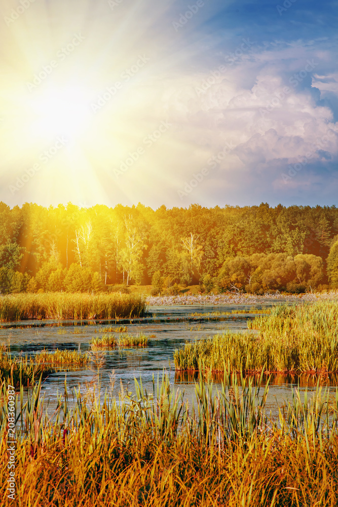 Panoramic lake view in summer sunset time. Tourism, holiday and nature concept. Panoramic lake view in summer sunset time. Tourism, holiday and nature concept.