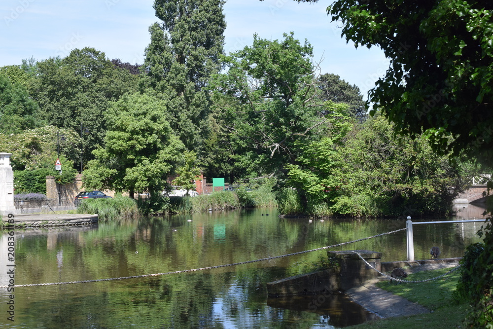 Pond Pond