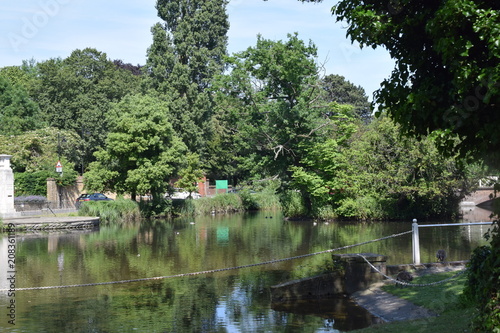 Pond