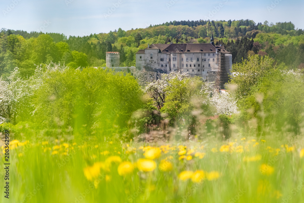 Beautiful spring day. castle Cesky Sternberk with blue sky and blooming dandelion foreground in Czech republic