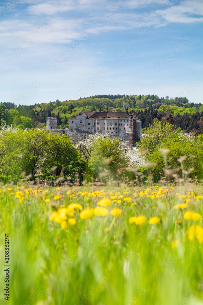 Beautiful spring day. castle Cesky Sternberk with blue sky and blooming dandelion foreground in Czech republic