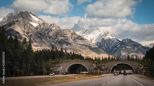 Obraz na płótnie Drive through Wildlife overpass in Banff National Park