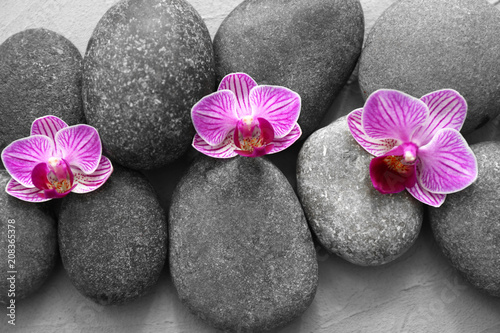 Beautiful orchid flowers on spa stones